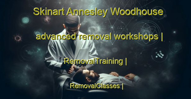 Skinart Annesley Woodhouse advanced removal workshops | RemovalTraining | RemovalClasses | SkinartTraining-United Kingdom